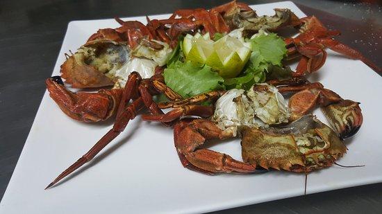 El Limonar de Novales