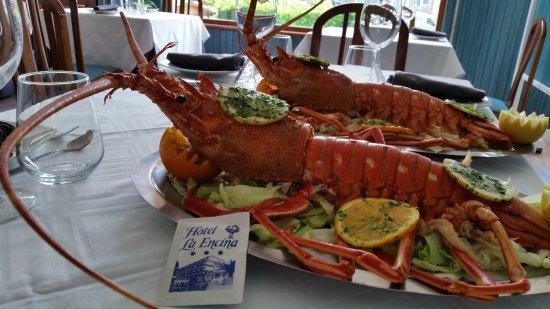 Restaurante la Encina