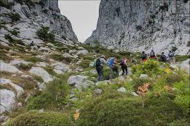 Cuetu la Jontaniella