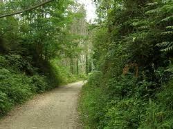 Vía Verde Castro - Traslaviña