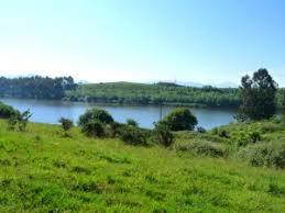 Pozón de la Dolores