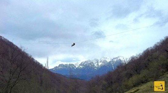Territorio Canopy