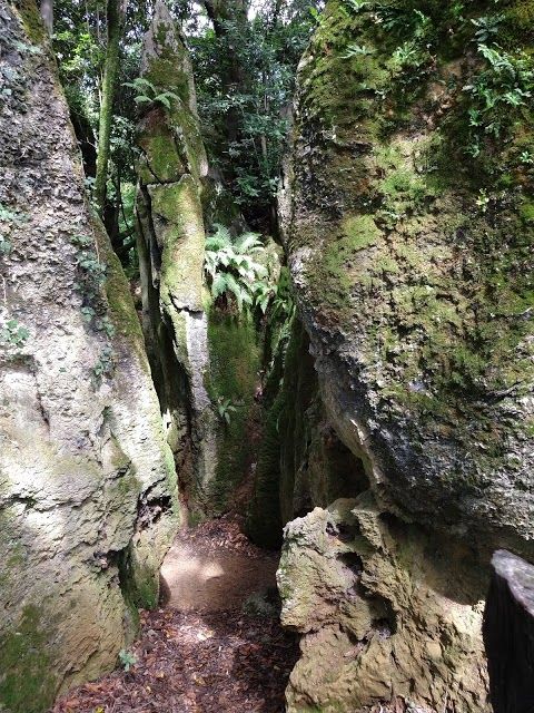 Mitologico Mina Pepita Park