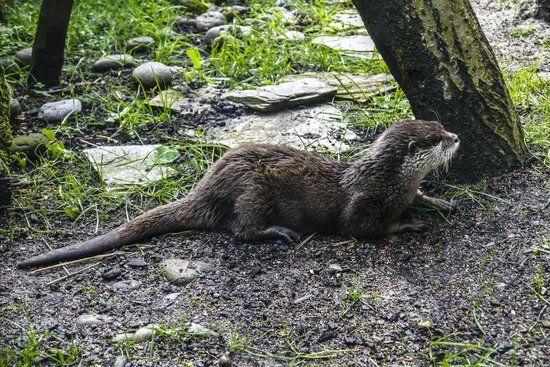 Ecomuseo-Fluviarium de la Montaña y Cuencas Fluviales Pasiegas