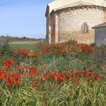 Mercado Nacional de Ganados